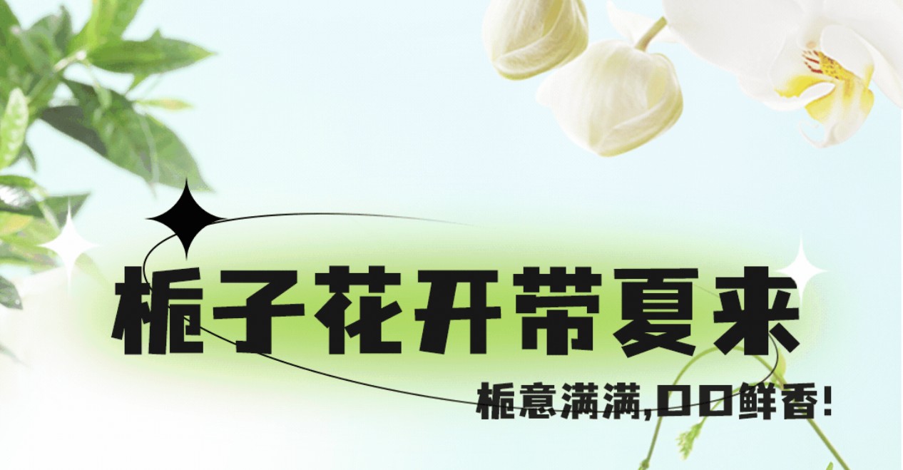 梔子花茶7月新上市，梔意滿滿，帶你入夏！